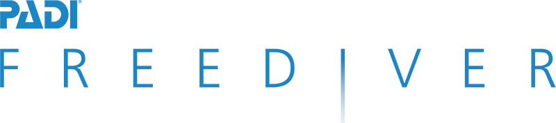 fd_padi_logo_final_blue_small